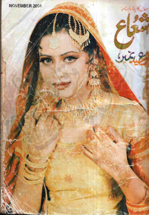 Shuaa Digest November 2004