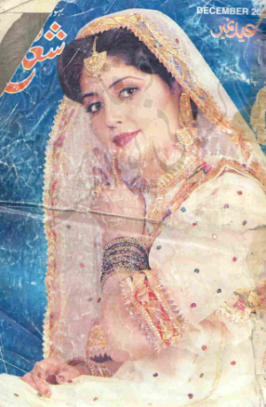 Shuaa Digest December 2002