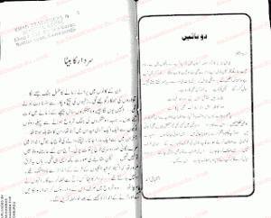 Asman Mein Jazeera Inspector Jamshed Series