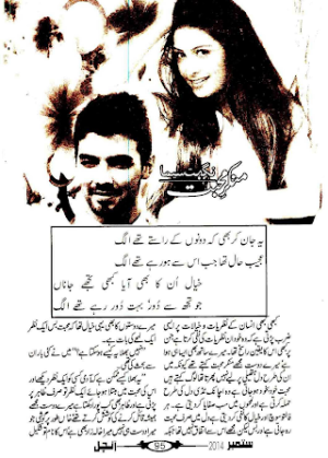 Munkar e Mohabbat 
