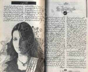 Mohabbat Humsafar Meri PDF