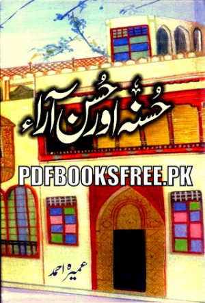 Husna Aur Husan Ara