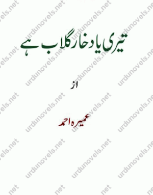 Teri Yad Kharay Ghulab Hai