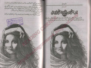 Jo Ishq Main Beeti Woh Ishq Hi Jany Episode 20