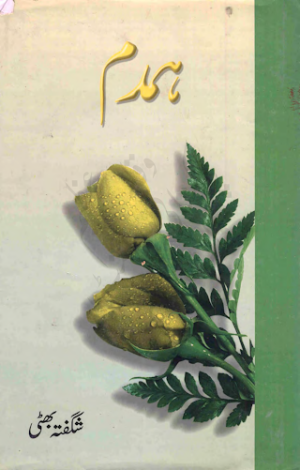 Humdum  