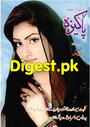Pakeezah Digest November 2014  