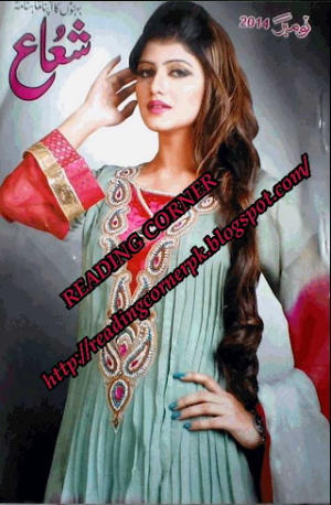 Shuaa Digest November 2014