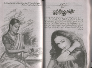 Ishq Ka Hasil Ansoo Ku  