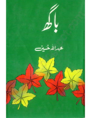 Bagh 01
