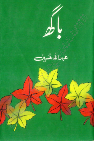 Bagh 02
