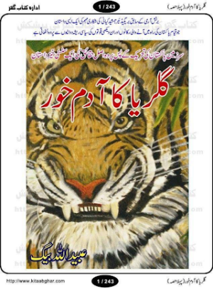 Galaria Ka Adam Khor 