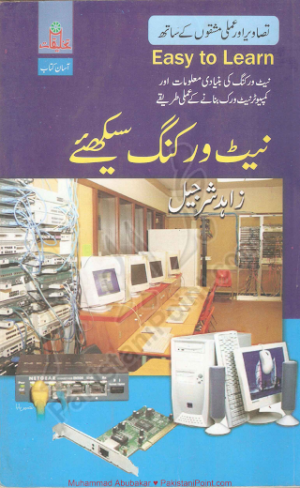 Learn Networking In URDU PDF