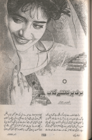 Baraf par khilty gulab 