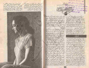 aao tajdeed e mohabbat kar lain 