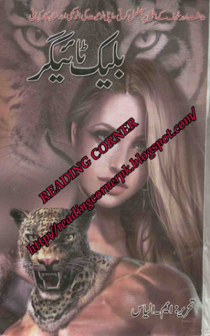 Black Tiger 01 