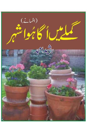 Gamlay Mein Uga Howa Shehar  