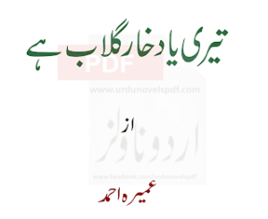 Teri Yaad Khaar-E-Gulaab Hai  