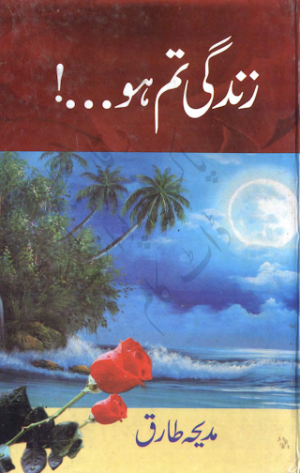 Zindagi Tum Ho Social Novels 