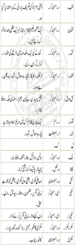 Urdu Dictionary Volume 5