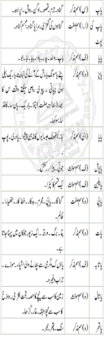 Urdu Dictionary Volume 2