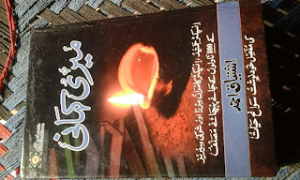 Meri Kahani