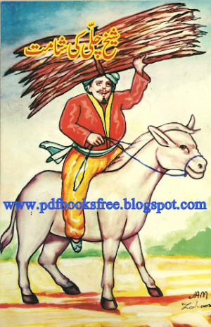 Sheikh Chilli ki Shamat