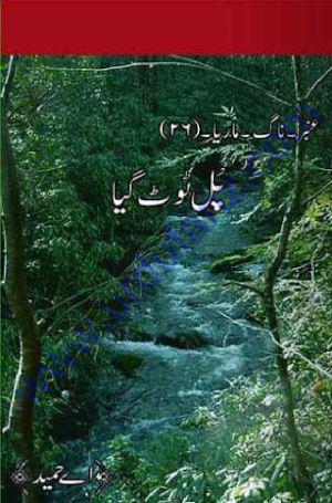 Amber Naag Maria Series Part 26 (Pull Toot Giya) Urdu Novel