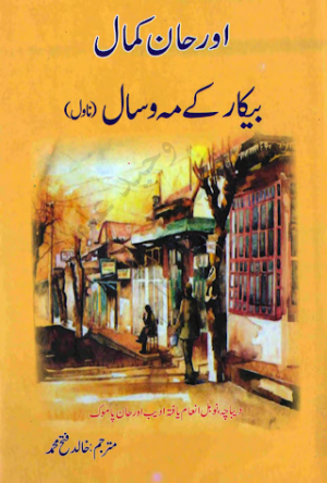 BeKar Kay Mah o Saal (Novel)