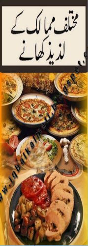 Popular Delicious Food Recipes Of Different Countries in Urdu
