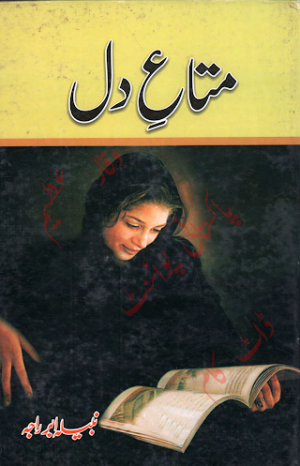 Mata e Dil Novel