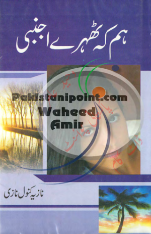 Ham Kay Thehray Ajnabi